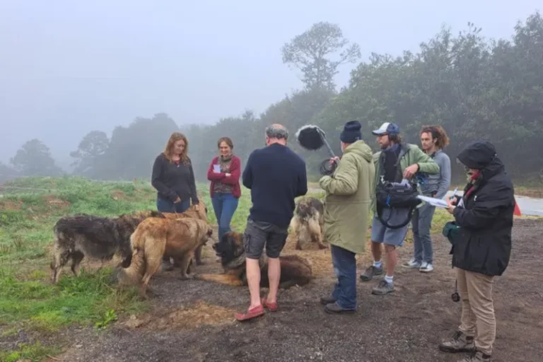 Tournage de l’émission TV Bali Breizh : les animateurs de l’émission, Goulwena an Henaff et Thelo Mell ont rencontré notre élevage de chiens de Leonberg