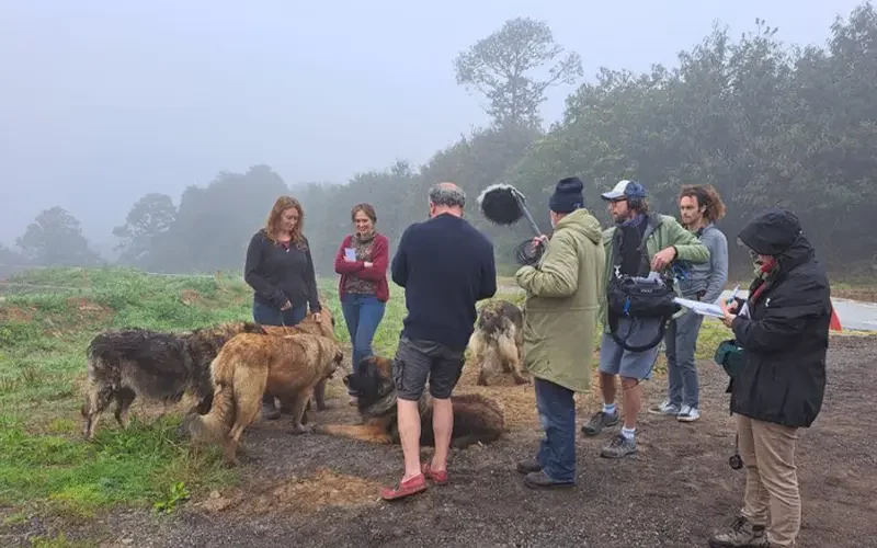 Tournage de l’émission TV Bali Breizh : les animateurs de l’émission, Goulwena an Henaff et Thelo Mell ont rencontré notre élevage de chiens de Leonberg